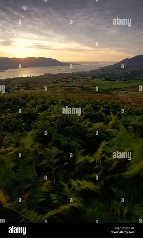 Carlingford Lough with the Mourne Mountains viewed at sunrise from the ...