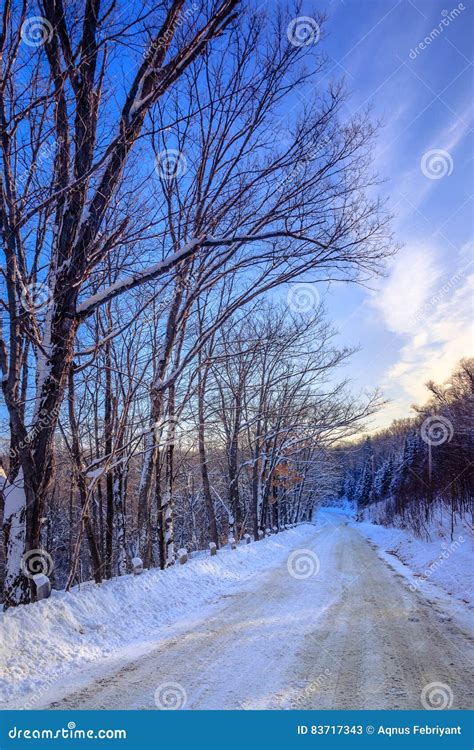 Winter scenery stock image. Image of outdoor, ontario - 83717343