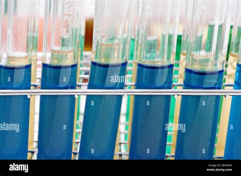 Food testing lab Stock Photo - Alamy