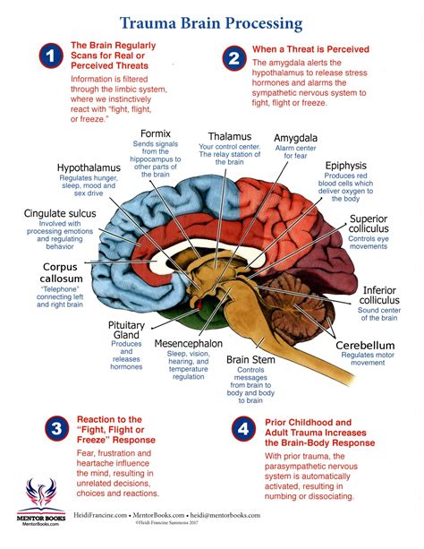 Brain Trauma Processing Chart: How the Brain – Mentor Books West