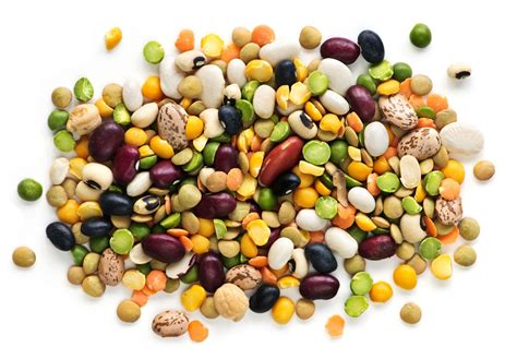 Little Bean, Big Nutrition: Celebrating the International Year of Pulses | Oldways