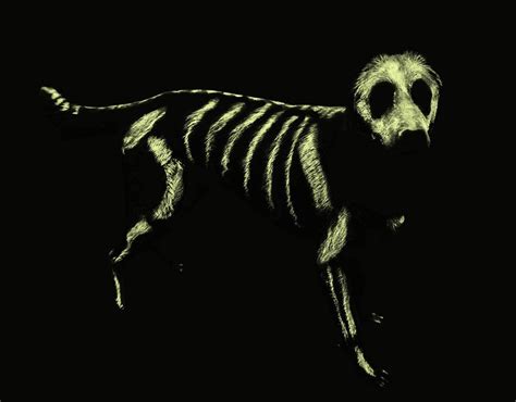 Shinsou Hitoshi Is A Transtrender | Dog skeleton, Dog halloween costumes, Dog skeleton costume