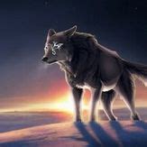Free download moonlight wolf 3 HD Wallpaper Animals Wallpapers [1600x1067] for your Desktop ...