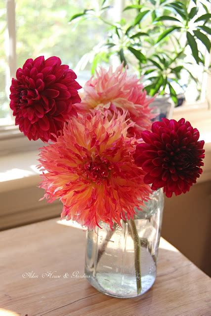 Aiken House & Gardens: Dahlia Bouquets from the Garden