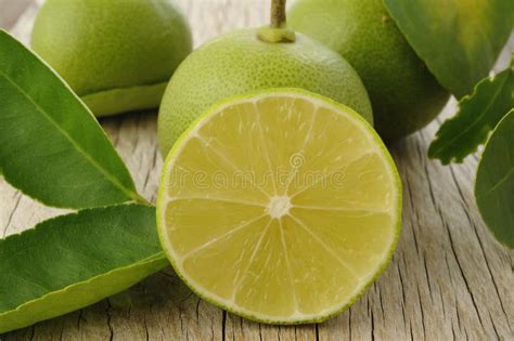 Lime fruit stock image. Image of diet, healthy, ingredient - 58258483