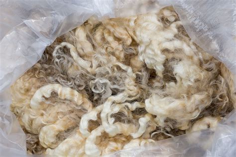 Should You Bother Buying Raw Wool?