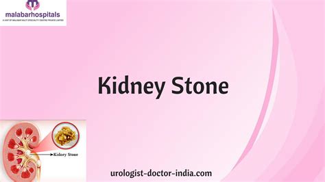 (PDF) Kidney Stone Treatment In Kerala | Urology Hospital In India - DOKUMEN.TIPS