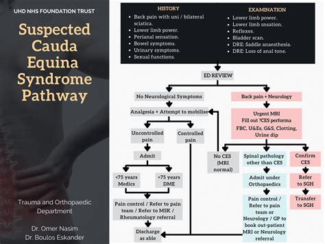 Cauda Equina Pathway