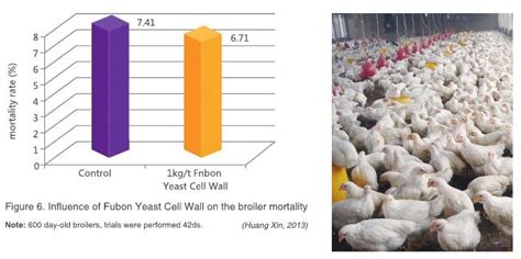 GystPH | Yeast Cell Wall