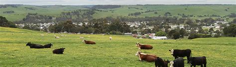 Coleraine, VIC - Aussie Towns