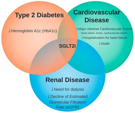 Medicina | Free Full-Text | SGLT2 Inhibitors: The Next Blockbuster Multifaceted Drug?