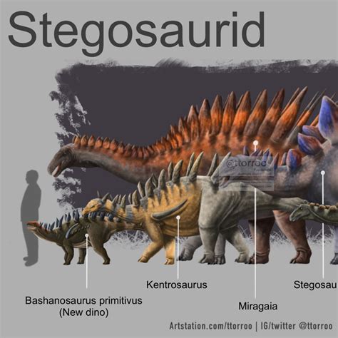 ArtStation - STEGOSAURID DINOSAUR SERIES