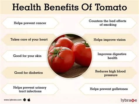 Is Tomato Fruit or Vegetable? Explained. | GreenStories