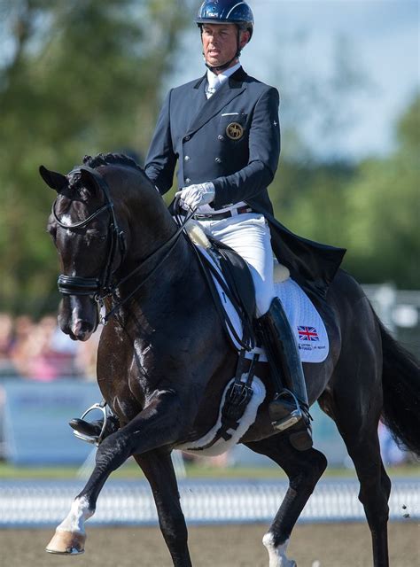 The Dressage Horse | Dressage horses, Dressage, Sport horse