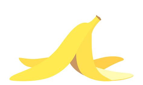 Banana Peel Vector Images – Browse 18,396 Stock Photos, Vectors, and Video | Adobe Stock