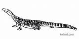 Goanna Komodo Sand Varano Coloriage Ausmalbilder Waran Supercoloring  sketch template