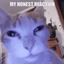 Mr Noodles My Honest Reaction GIF (Mr Noodles My Honest Reaction My Honest Reaction Meme ...