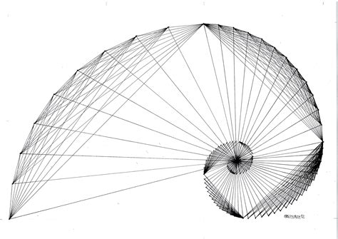 #fractal #fibonacci #goldenratio #geometry #symmetry #handmade #mathart ...