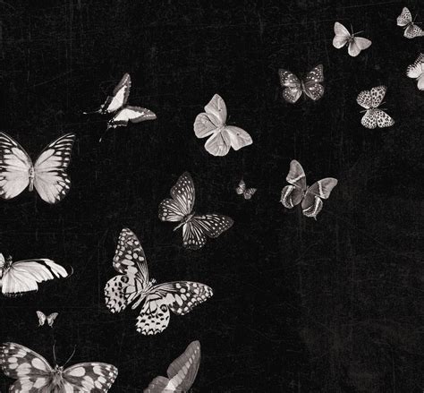 Gothic Butterfly Art Print Butterfly Digital Download Black & | Etsy