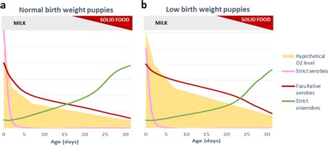 Proposed model based on our results of the evolution of strict aerobes... | Download Scientific ...