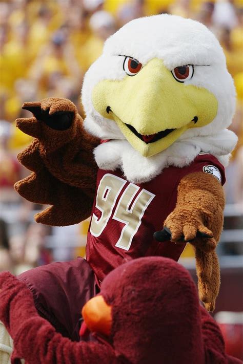 College football mascots: The birds