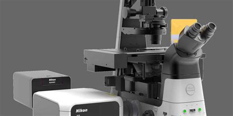 Confocal and Multiphoton Microscopes | Microscope Products | Nikon Instruments Inc.