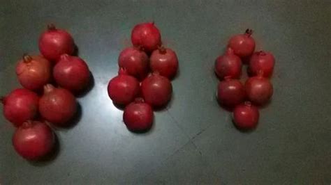 Organic Pomegranate at Rs 110/kilogram | Gokhle Road | Thane | ID: 10700866930