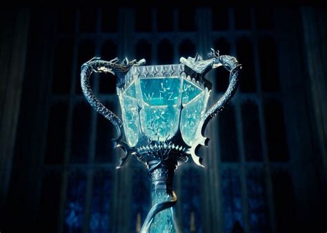 Tri Wizard Cup | Harry potter goblet, Goblet of fire, Harry potter