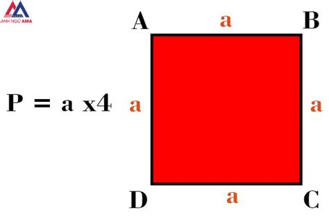 Hình vuông là gì? Công thức tính chu vi hình vuông - AMA - Anh Ngữ AMA