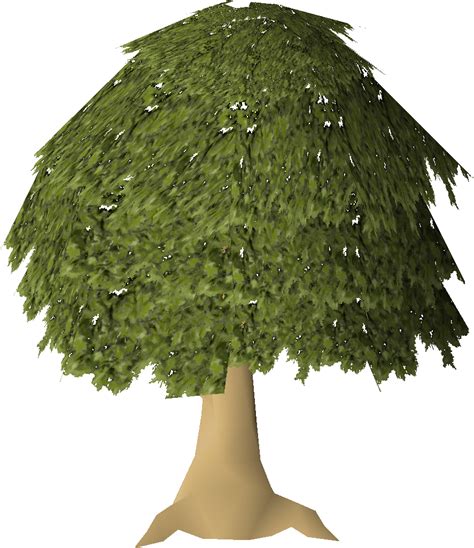 File:Mahogany tree (stage 7).png - OSRS Wiki