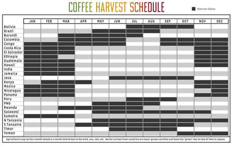 Coffee Harvest Seasons and Availability – The Captain's Coffee