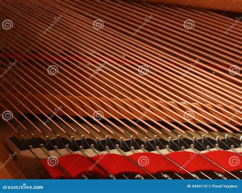 Piano strings stock photo. Image of classic, white, grand - 4434110