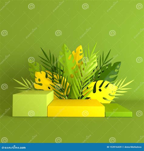 Tropical Paper Palm, Monstera Leaves And Flowers Frame, Podium Platform ...