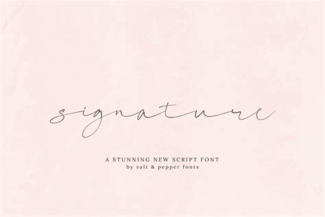 Signature Script Font | Script Fonts ~ Creative Market