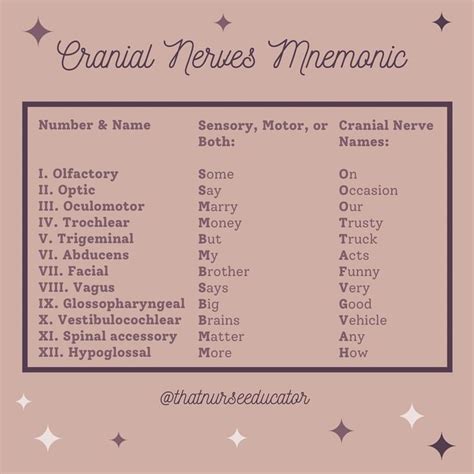 Here is the cranial nerve mnemonic I used in nursing school to help me ...