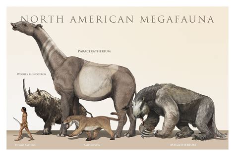 Extinct North American Mammals - Pets Lovers