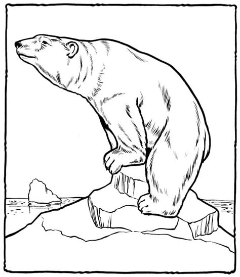 Polar Bear coloring pages - ColoringLib