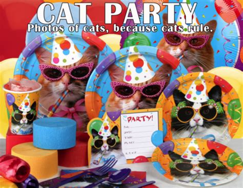 Cat Party (@CatPartyLive) | Twitter