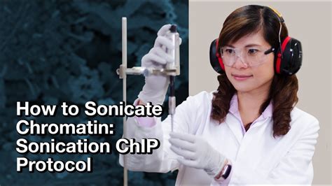 How to sonicate chromatin: Sonication ChIP Protocol | CST Tech Tips - YouTube