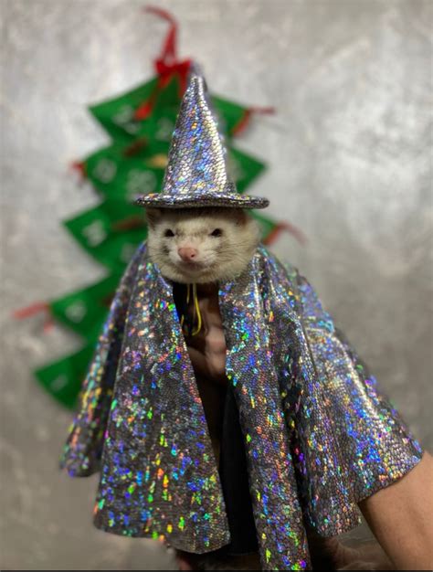 Wizard Ferret,сhristmas for the Ferret, Gift for Ferret Owner ...