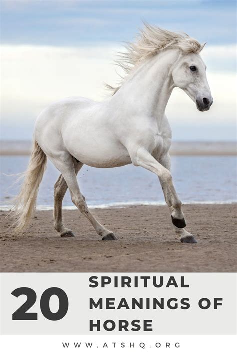 Horse Symbolism: 20 Spiritual Meanings of Horse (2024)