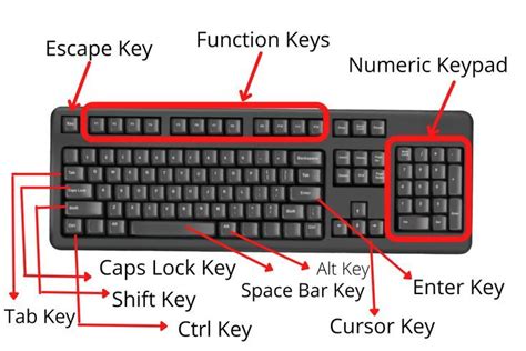 What are the 5 Parts of the Keyboard? | Keyboard, Computer keyboard ...