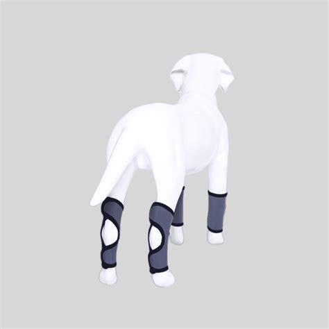 Best Dog Rear Hock Brace For Sale | LOVEPLUSPET