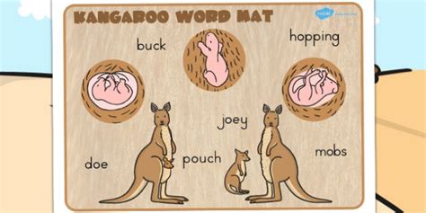 Kangaroo Life Cycle Word Mat - life cycles, lifecycle, kangaroo