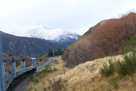 New Zealand TranzAlpine Scenic Rail Experience