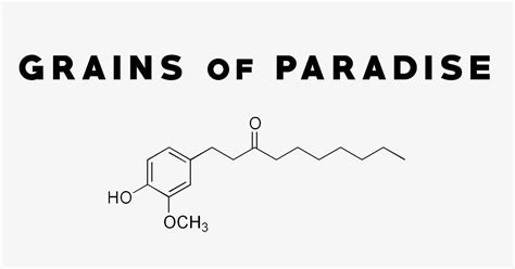 Grains of Paradise: Uses, Side Effects, Interactions, Dosage and Supplements