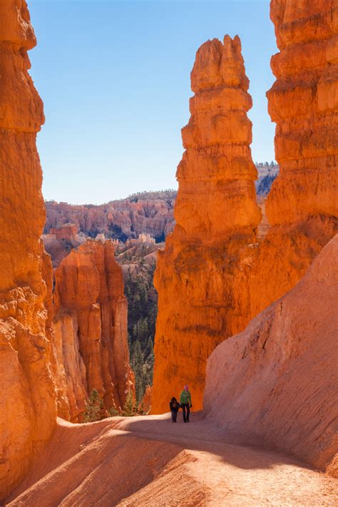 The 6 Best Hikes in Bryce Canyon National Park