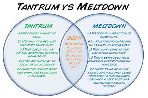 When a Tantrum is really a Meltdown