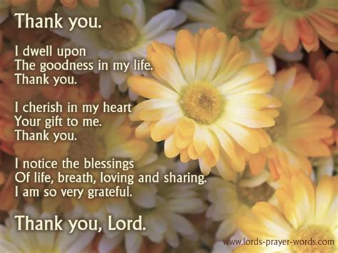 8 Prayers of Gratitude to God - Give Thanks!