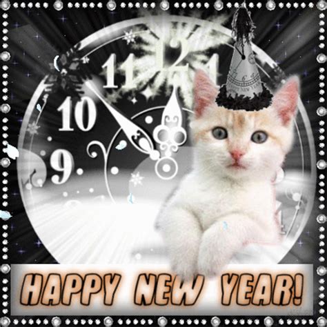 Happy New Year Cat Gif Pictures, Photos, and Images for Facebook ...